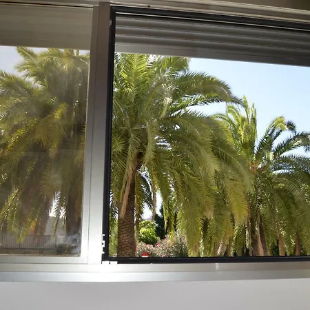 Piso Palmeral *